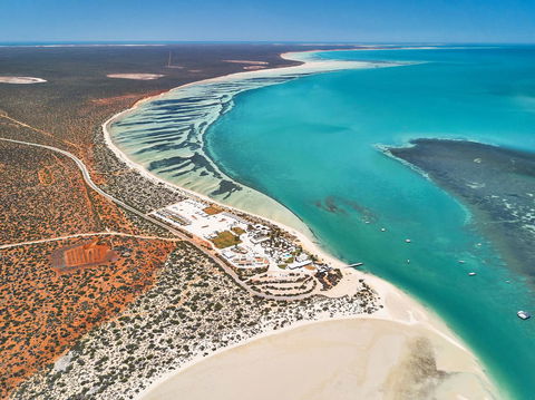 RAC Monkey Mia Dolphin Resort - Accommodation Perth 43