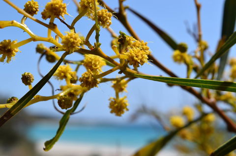 Eagle Bay House - Perth Resorts 12