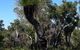 Eagle Bay House - thumb 26