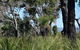 Eagle Bay House - thumb 23