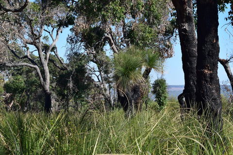 Eagle Bay House - Perth Resorts 23