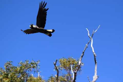 Eagle Bay House - Perth Resorts 20