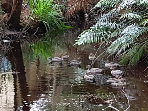 Strahan Retreat Holiday Park - Perth Resorts 24
