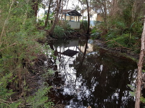 Strahan Retreat Holiday Park - Perth Resorts 33