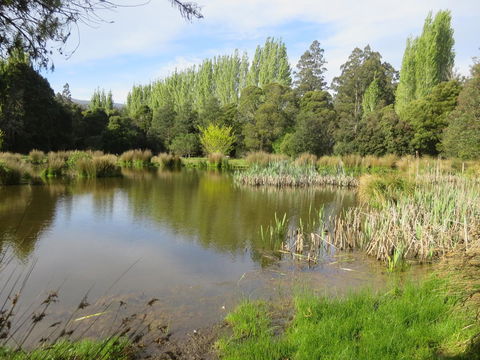 Giants Table And Cottages - Accommodation Perth 25
