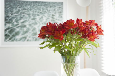 On The Beach Waterfront Apartment - Accommodation Perth 0