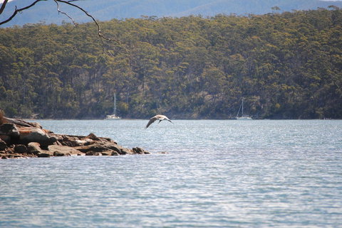 A Slice Of Paradise - Accommodation Perth 18