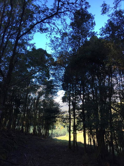 Manna Hill Farm - Perth Resorts 27