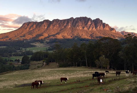 Manna Hill Farm - Perth Resorts 10