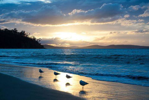 The Ultimate Beach House - Accommodation Perth 8