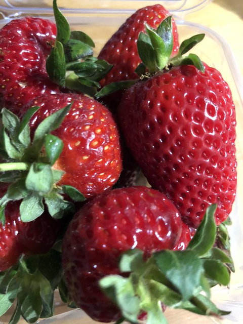 Richmond Bridge Accommodation â€œTwo The Bridgeâ€ - Perth Resorts 17