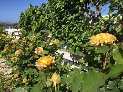 Garden By The Beach - Gateway To The East Coast, Close To Airport - Accommodation Perth 25