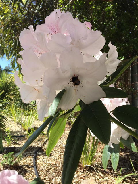 Garden By The Beach - Gateway To The East Coast, Close To Airport - Accommodation Perth 14