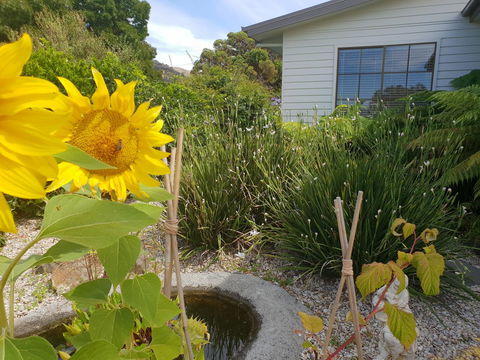 Garden By The Beach - Gateway To The East Coast, Close To Airport - Accommodation Perth 13