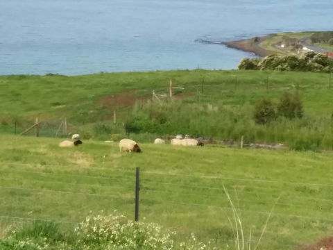 Penguin Seaside Farm - Accommodation Perth 7