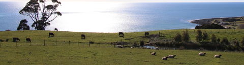 Penguin Seaside Farm - Accommodation Perth 2