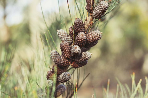 Oyster Cove Chalet - Perth Resorts 30