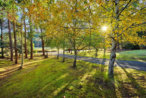 Oyster Cove Chalet - Perth Resorts 1