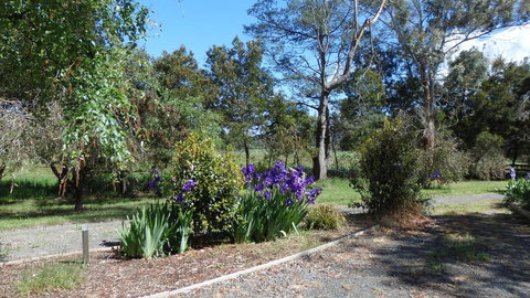 Karoola Cottage Self Contained - Accommodation Perth 19