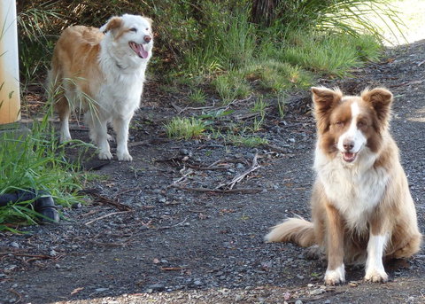 Karoola Cottage Self Contained - Accommodation Perth 14