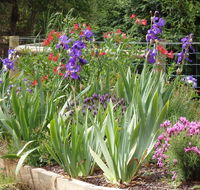 Karoola Cottage Self Contained - Accommodation Perth