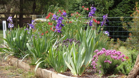 Karoola Cottage Self Contained - Accommodation Perth 0