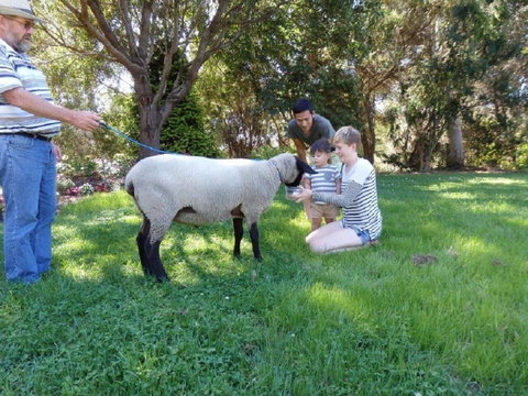 Karoola Cottage Self Contained - Accommodation Perth 23