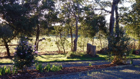 Karoola Cottage Self Contained - Accommodation Perth 25