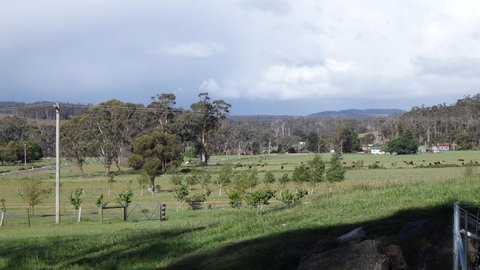 Karoola Cottage Self Contained - Accommodation Perth 11