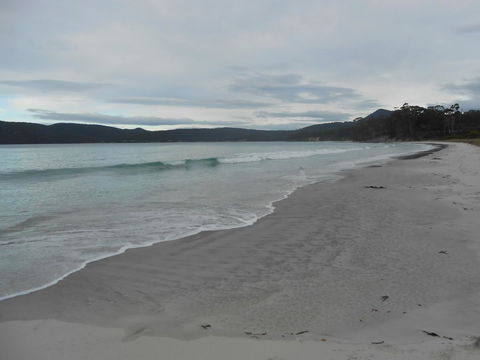 Bruny Ocean Cottage - Accommodation Perth 11
