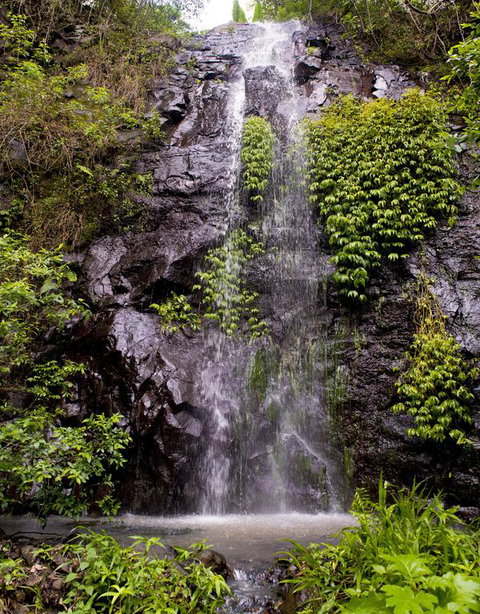 Nimbin Waterfall Retreat - Accommodation Perth 3