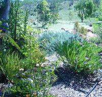 Old Miners' Cottages Bed and Breakfast - Accommodation Perth