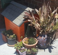 Orange Grove Hotel - Perth Resorts