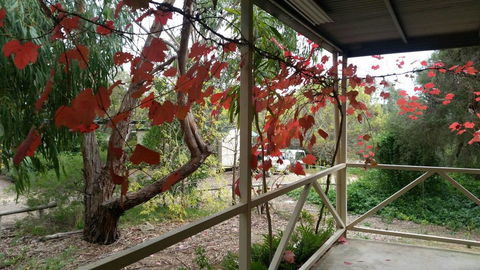 Padthaway Caravan Park - Accommodation Perth 1