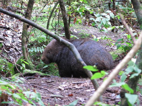 Paradiso Kinglake - Accommodation Perth 2