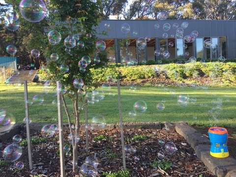 Paradiso Kinglake - Accommodation Perth 1