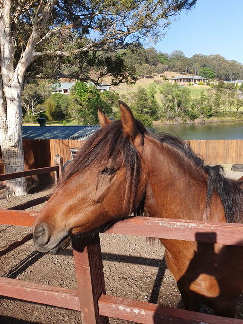 Park View Guest House - Accommodation Perth 1