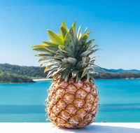 Pineapple House Whitsundays - Accommodation Perth