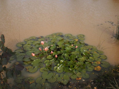 River Downs Cottage - Accommodation Perth 3