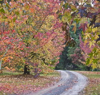 Rustic Spirit - Perth Resorts