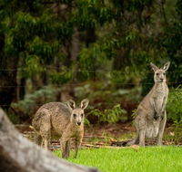 Secura Lifestyle Countryside Kalaru - Perth Resorts