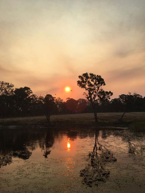 Serenity On Stanthorpe - Perth Resorts 2