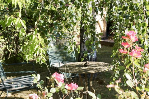 Silver Birch B&B - Accommodation Perth 3