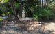 Smoky Cape Retreat - thumb 3