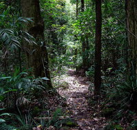 Springbrook Lyrebird Retreat - Perth Resorts