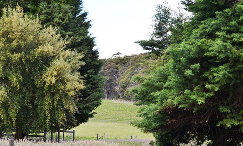 Springhill Winery - Perth Resorts 1