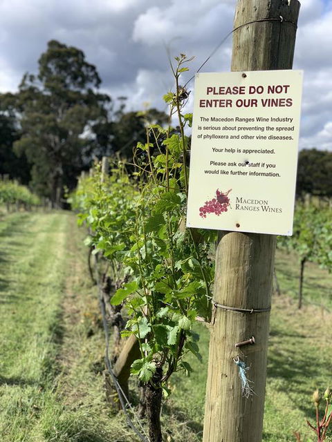 Springhill Winery - Perth Resorts 3