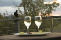 Book Forest Hill Accommodation Vacations Accommodation Perth Accommodation Perth