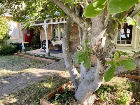 SUMMER HOUSE - CENTRAL LOCATION Near PARK - Accommodation Perth 0