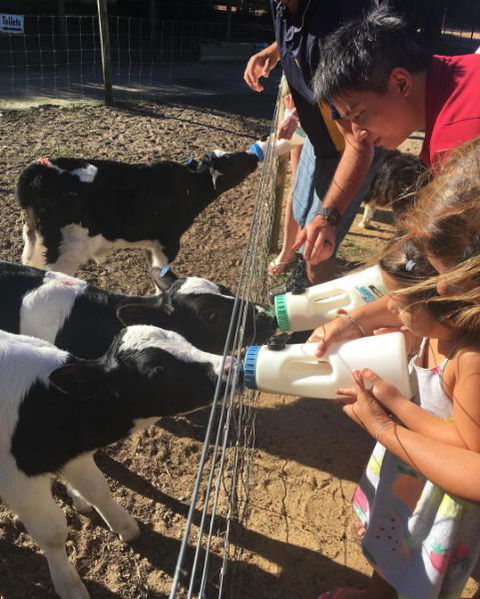 Sunflowers Animal Farm & Farmstay - Perth Resorts 3